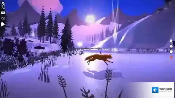 the first tree星星