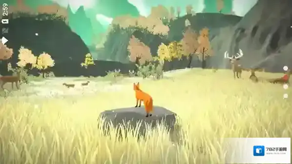 the first tree探索