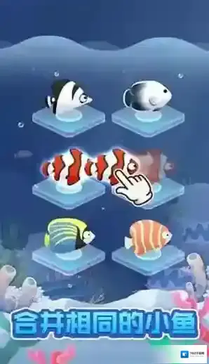 全民海洋馆海洋馆