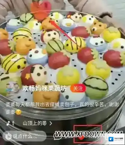 火山小视频作者