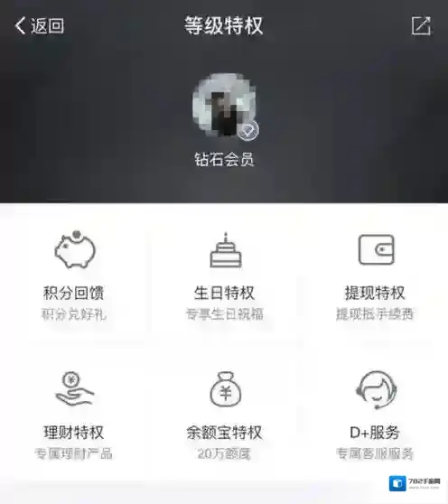 支付宝钻石会员