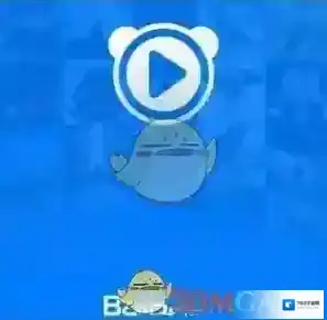 百度视频播放器流量