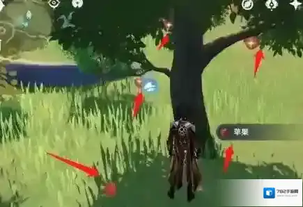 原神采集系统 如何采集各种材料