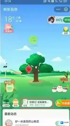 支付宝蚂蚁森林