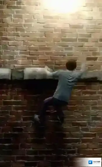 迷之大陆战力分布一览基础战力