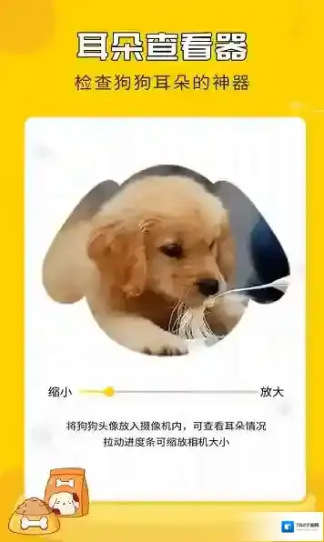 人狗翻译神器宠物