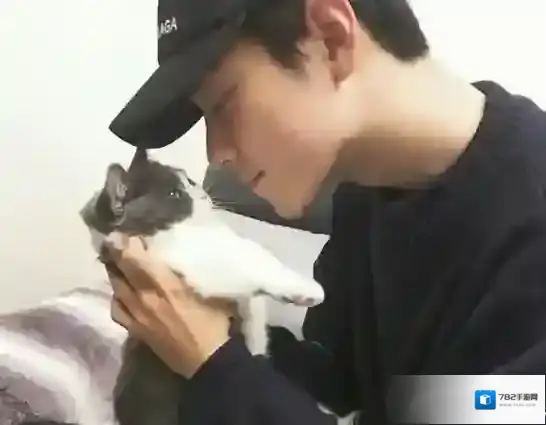 你坚果腿是什么意思？