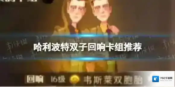 哈利波特魔法觉醒回响