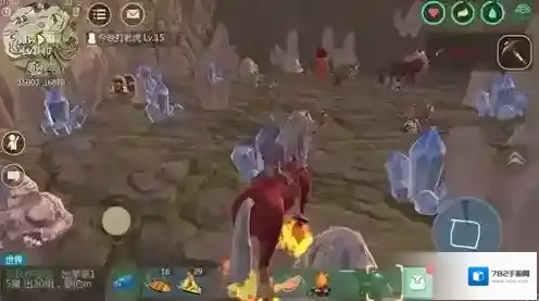 创造与魔法宠物