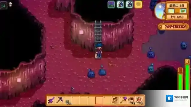 星露谷物语五彩