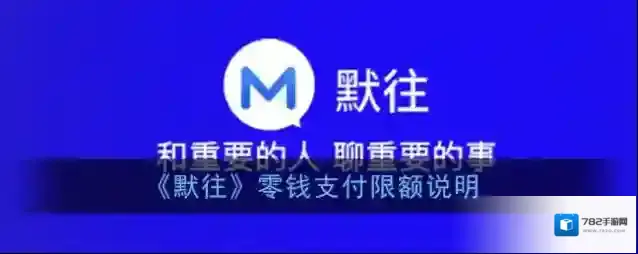 《默往》零钱支付限额说明