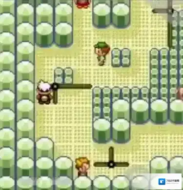 口袋妖怪胜利之火一周目攻略冰系道馆走法