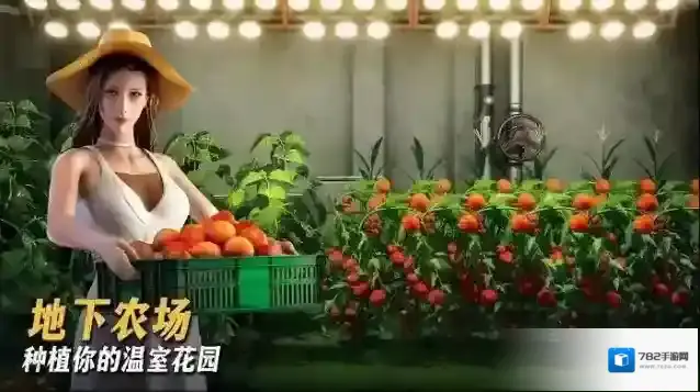 七号堡垒秘密国际服(Last Fortress)玩家