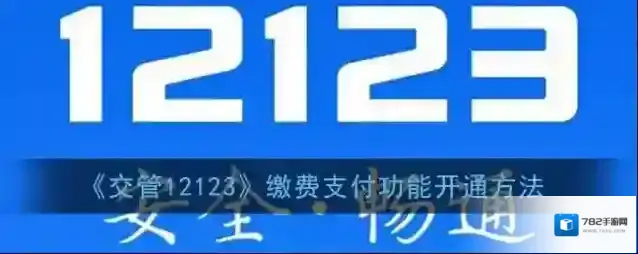 交管12123付款