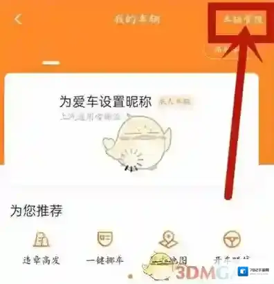 平安好车主选项