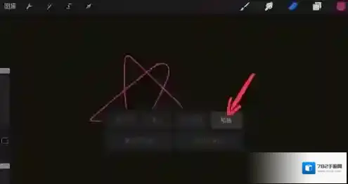 Procreate Pocket复制