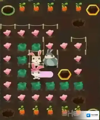 兔子复仇记中文版通道