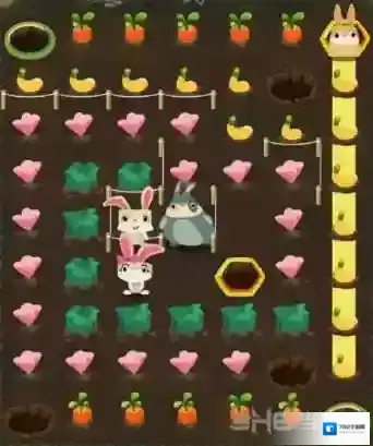 兔子复仇记中文版路线