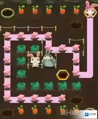 兔子复仇记中文版三星