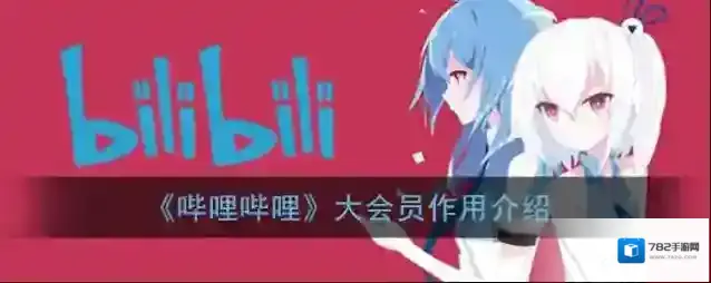 哔哩哔哩大会员