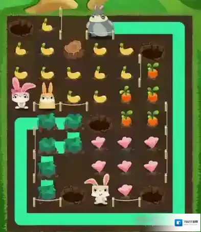 兔子复仇记中文版五针松