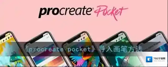 Procreate Pocket导入