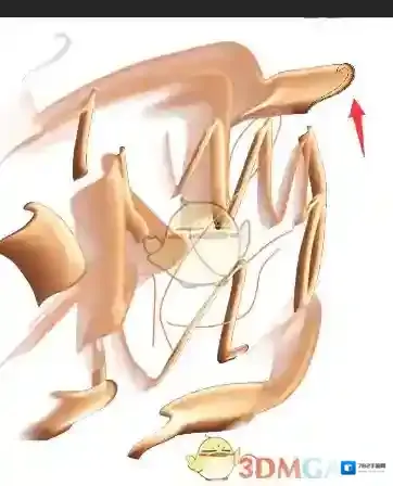 Procreate Pocket进入设置