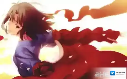 FGO空之境界复刻加成攻略 加成礼装选择汇总