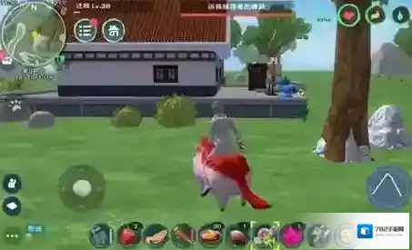 创造与魔法的猪怎么抓