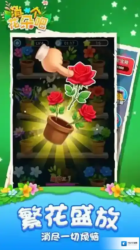 消个花朵吧花朵