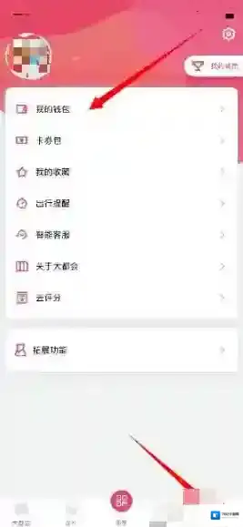 metro大都会我的钱包