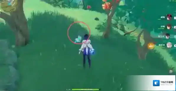 原神证悟木怎么最快收集?原神证悟木最快收集攻略