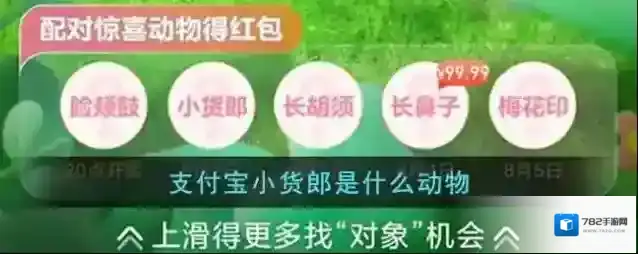 《支付宝》小货郎是什么动物