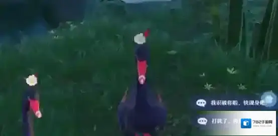 梦幻新诛仙新诛仙