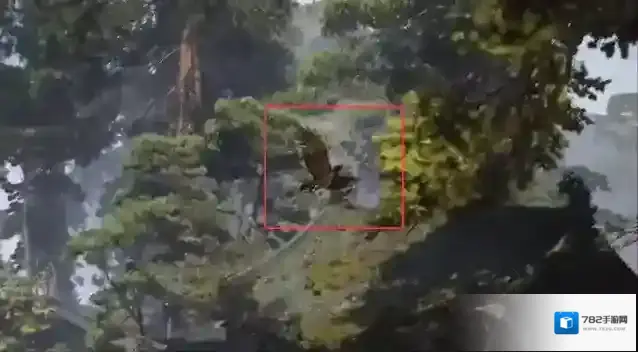 腾讯新游戏看到了