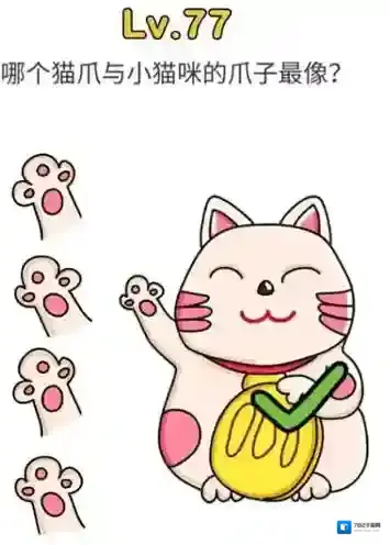 脑洞大师第77关怎么过 哪个猫爪和小猫咪的爪子最像关卡攻略