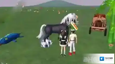 创造与魔法黑马在哪 黑马位置解析攻略