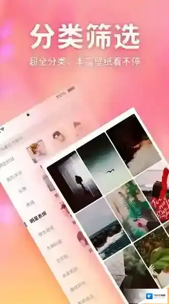 画壁高清壁纸壁纸