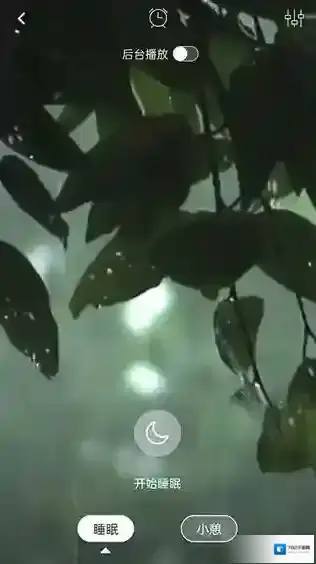 蜜獾睡眠助眠助眠