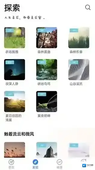 蜜獾睡眠助眠睡眠