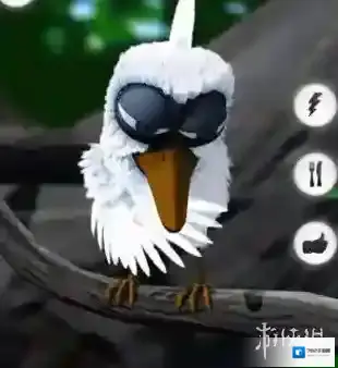 会说话的拉里鸟会说话