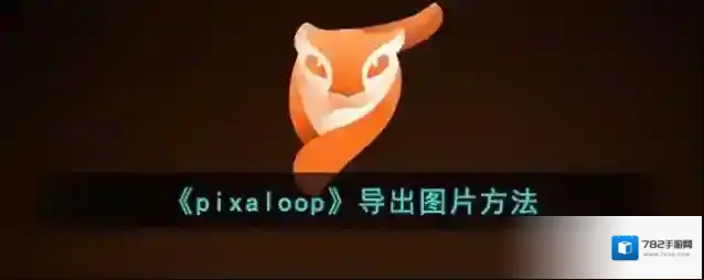 Pixaloop导出