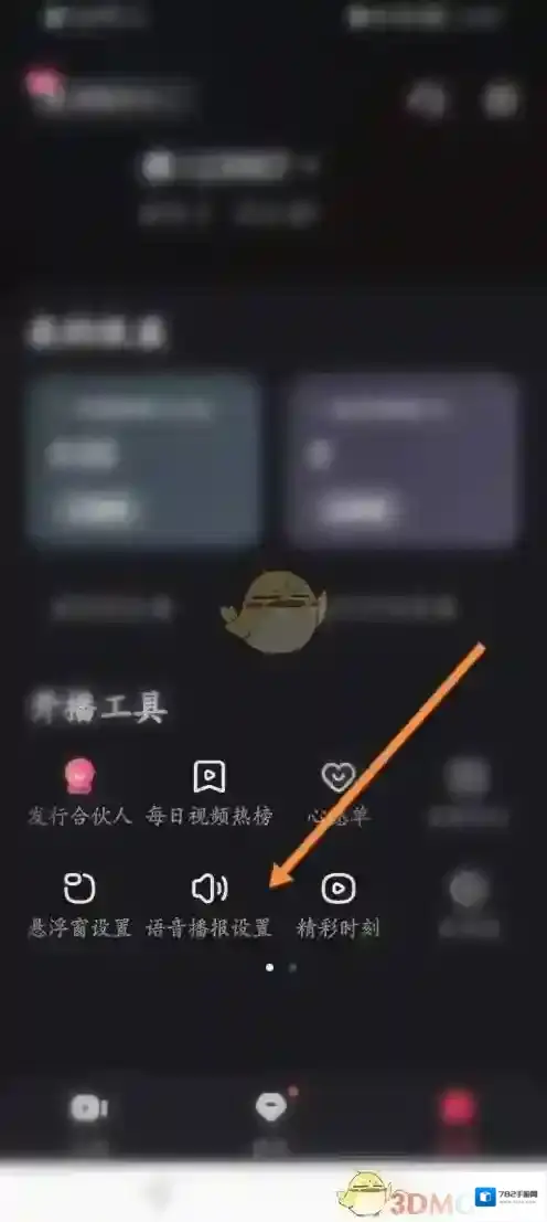 快手直播伴侣设置