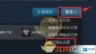 Steam隐私设置