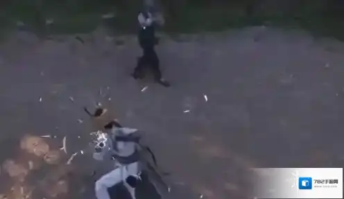 燕云十六声公孙