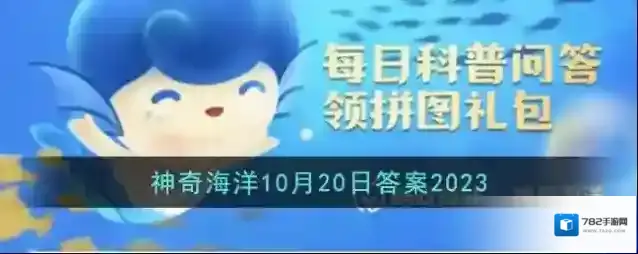 以下哪种海鸟的羽毛不能沾水主要靠抢夺食物为生