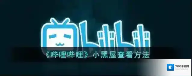 哔哩哔哩小黑屋