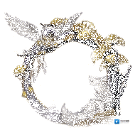 阴阳师sp山风花合战皮肤一览