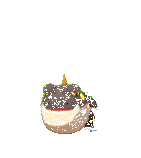 不休的乌拉拉熔岩兽有哪些喜好 宠物熔岩兽技能属性数据图鉴