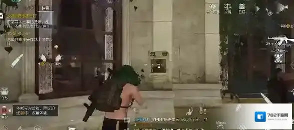 黎明觉醒生机金盏花